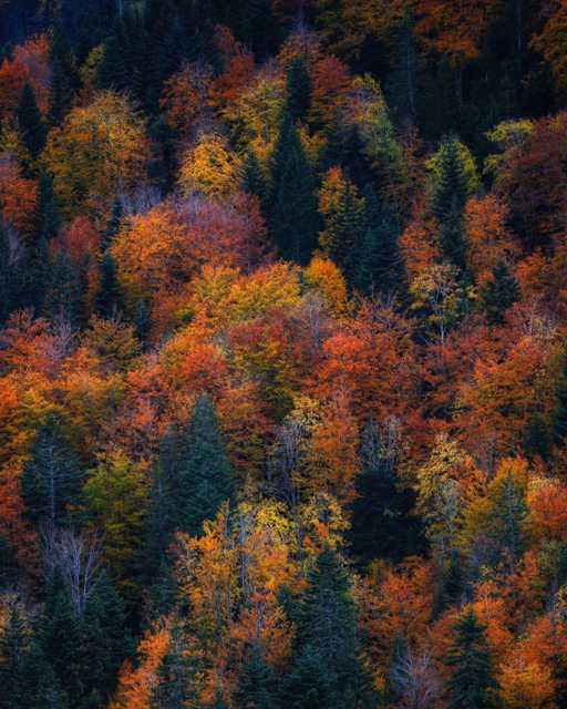 Najljepše boje na Sjevernom Velebitu. 🍁 @lucijan.spanic 
#velebit #jesen #punkuferhr