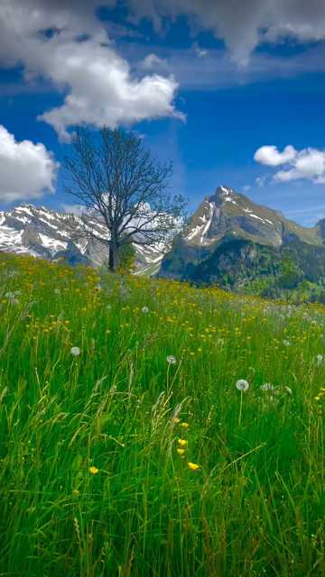 Uživajte u nedjelji kao i u ovom prizoru na Alpe! ⛰
@dadic.zada 
#alps #punkuferhr