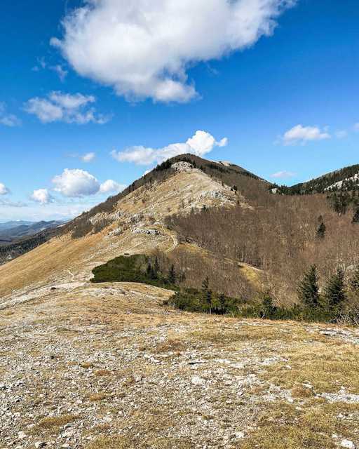 "Hrvatske Alpe" iliti Grobničke Alpe. 🙌 Smještene u riječkom zaleđu i mirišu na more. 🌊 @mijad

#travel #hiking #punkuferhr