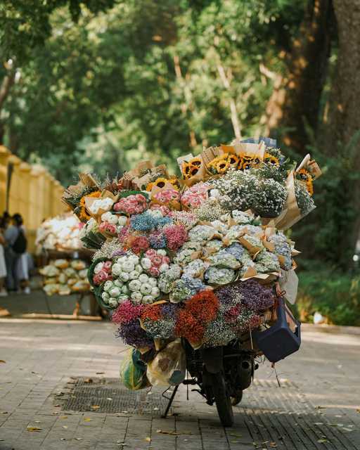 Vikend dostava! 🌼
@hanoi.jpeg 

#flowers #zadovoljnahr