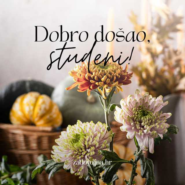 Dobro došao! 🍂