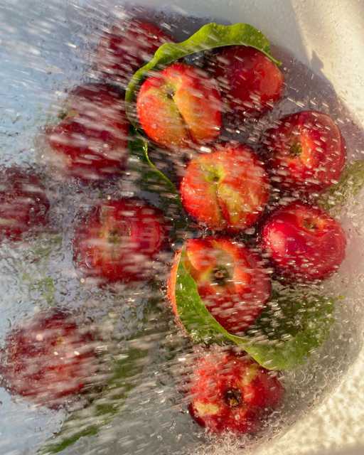 Fresh, fresh, fresh nectarines! 🍑😋
@katyantalya 
#nectarines #vitamins #zadovoljnahr
