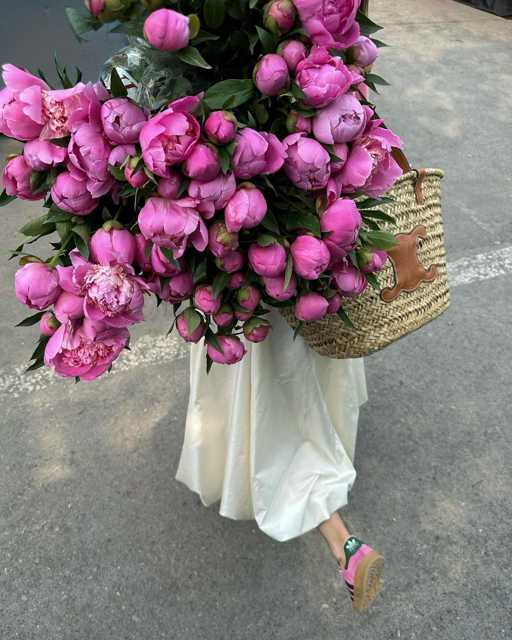 Jutarnji shopping!💐
@angela.irisburbonov 
#bouquet #flowers #zadovoljnahr